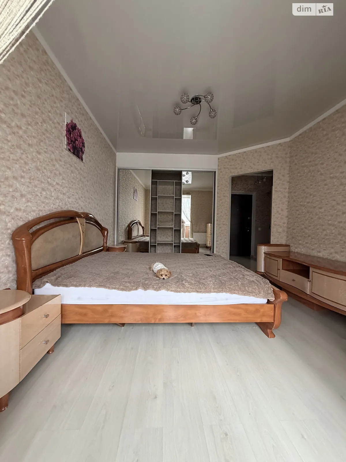 Сдается в аренду 1-комнатная квартира 49 кв. м в Хмельницком, ул. Лесогриневецкая - фото 1