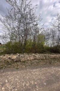 Продажа участка под жилую застройку, Закарпатская, Оноковцы, Виноградная улица