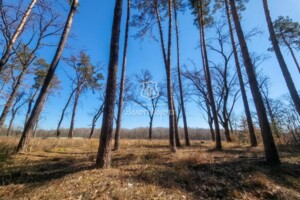 Продажа участка под жилую застройку, Киевская, Козин (Мироновка), Анатолия Соловьяненко, дом 1