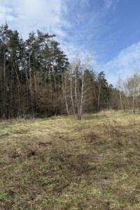 Продаж землі сільськогосподарського призначення, Київська, Михайлівка-Рубежівка (Ірпінь)