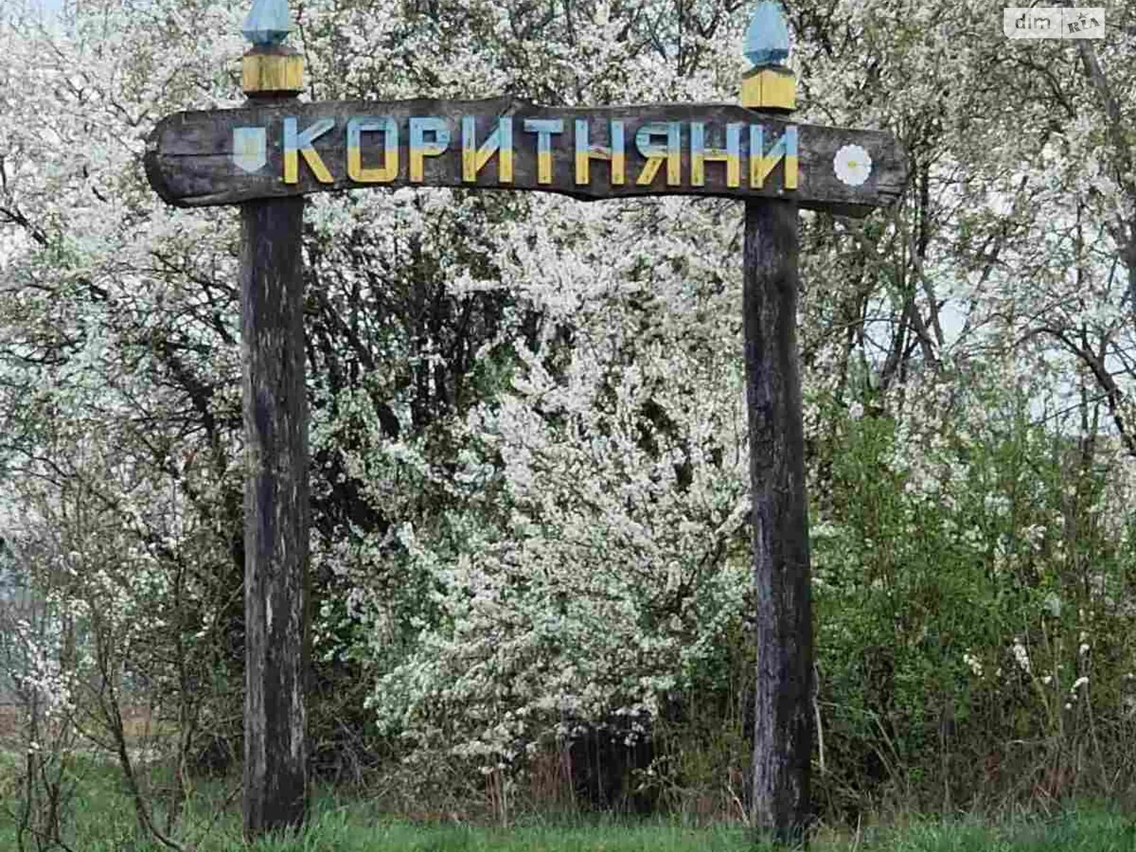 Продается земельный участок 31 соток в Закарпатской области, цена: 25000 $ - фото 1