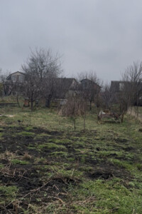 Продажа земли сельскохозяйственного назначения, Хмельницкая, Олешин, Зелена