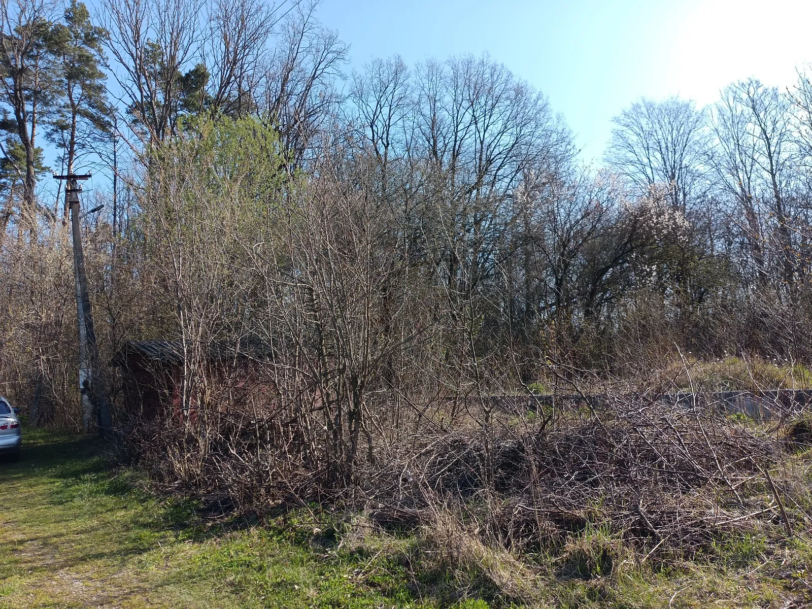 Ружичанка, цена: 20000 $ - фото 1