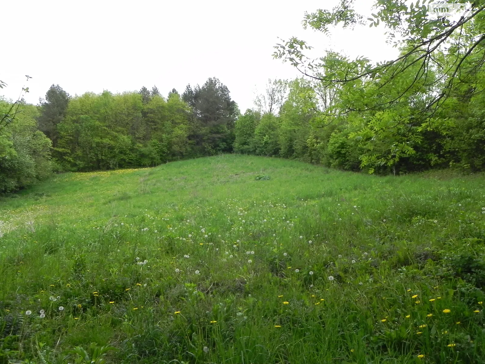 Продается земельный участок 0.25 соток в Хмельницкой области, цена: 25000 $ - фото 1