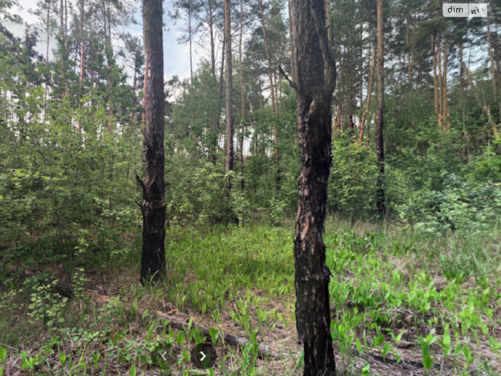 Продається земельна ділянка 10 соток у Київській області, цена: 33000 $ - фото 1