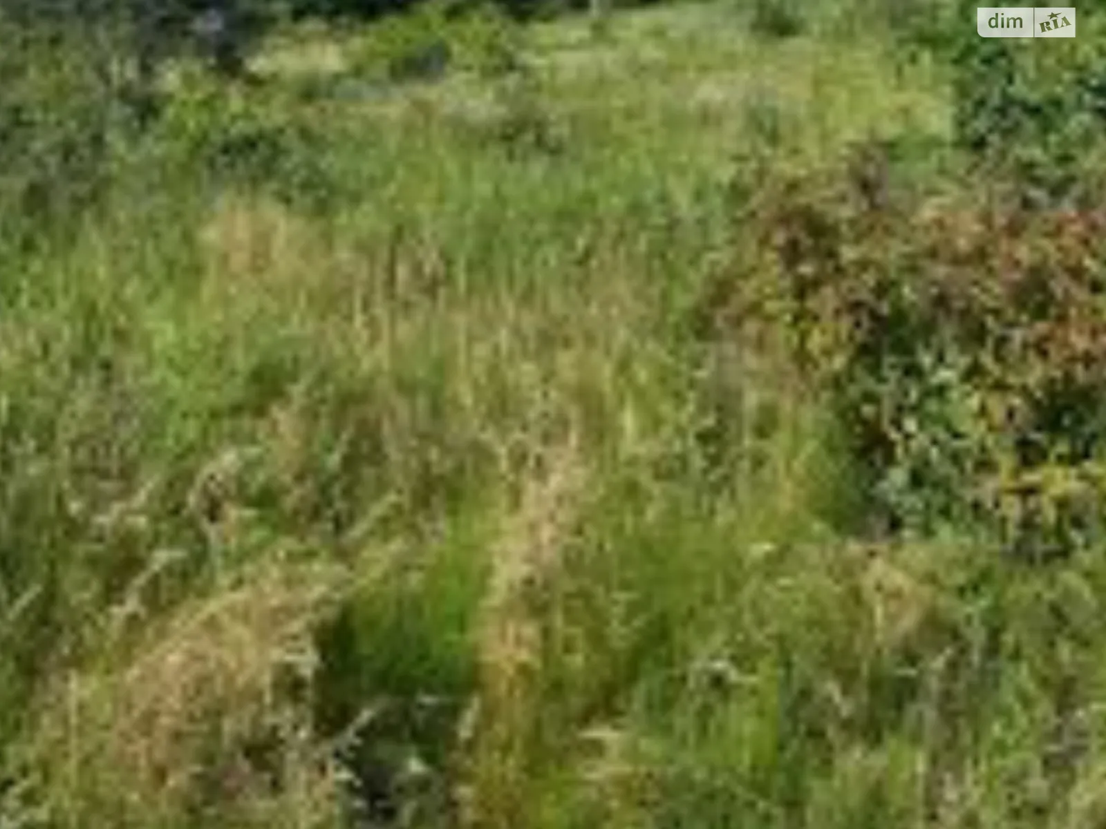 Продается земельный участок 20 соток в Киевской области, цена: 10000 $ - фото 1