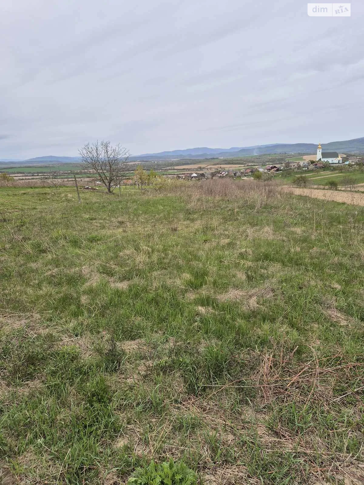 Продается земельный участок 22.67 соток в Закарпатской области, цена: 20000 $ - фото 1