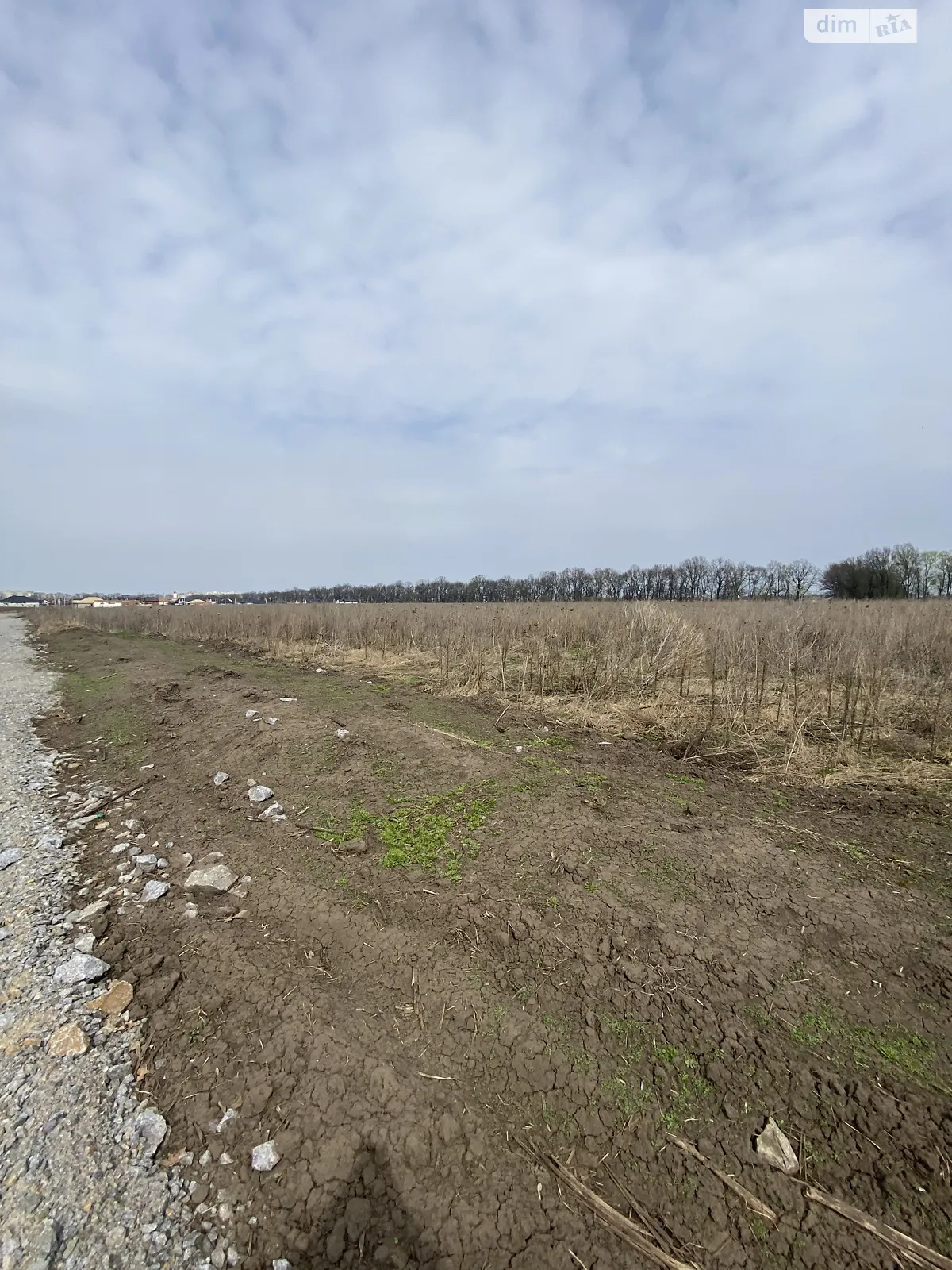 Продается земельный участок 20 соток в Винницкой области, цена: 120000 $ - фото 1