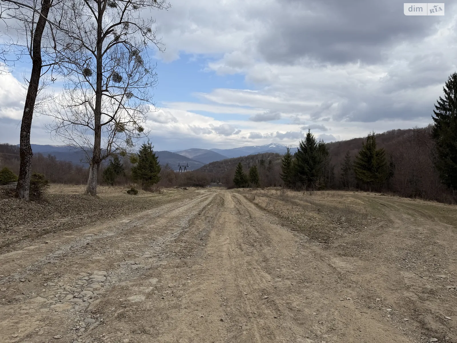 Продается земельный участок 10.5 соток в Закарпатской области, цена: 12000 $ - фото 1