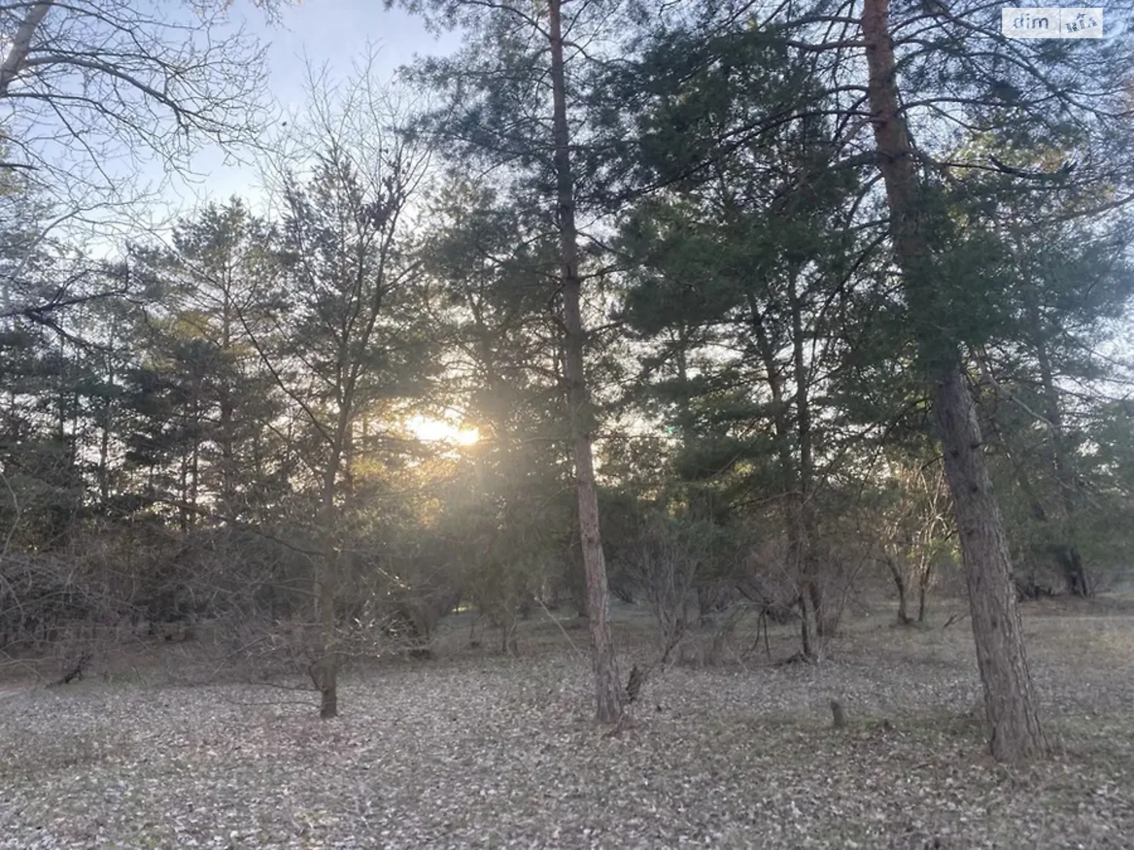 Продается одноэтажный дом 90 кв. м с участком, цена: 106000 $ - фото 1