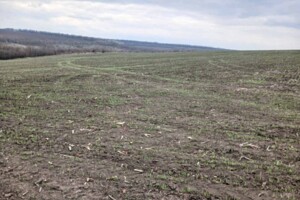 Аренда участков