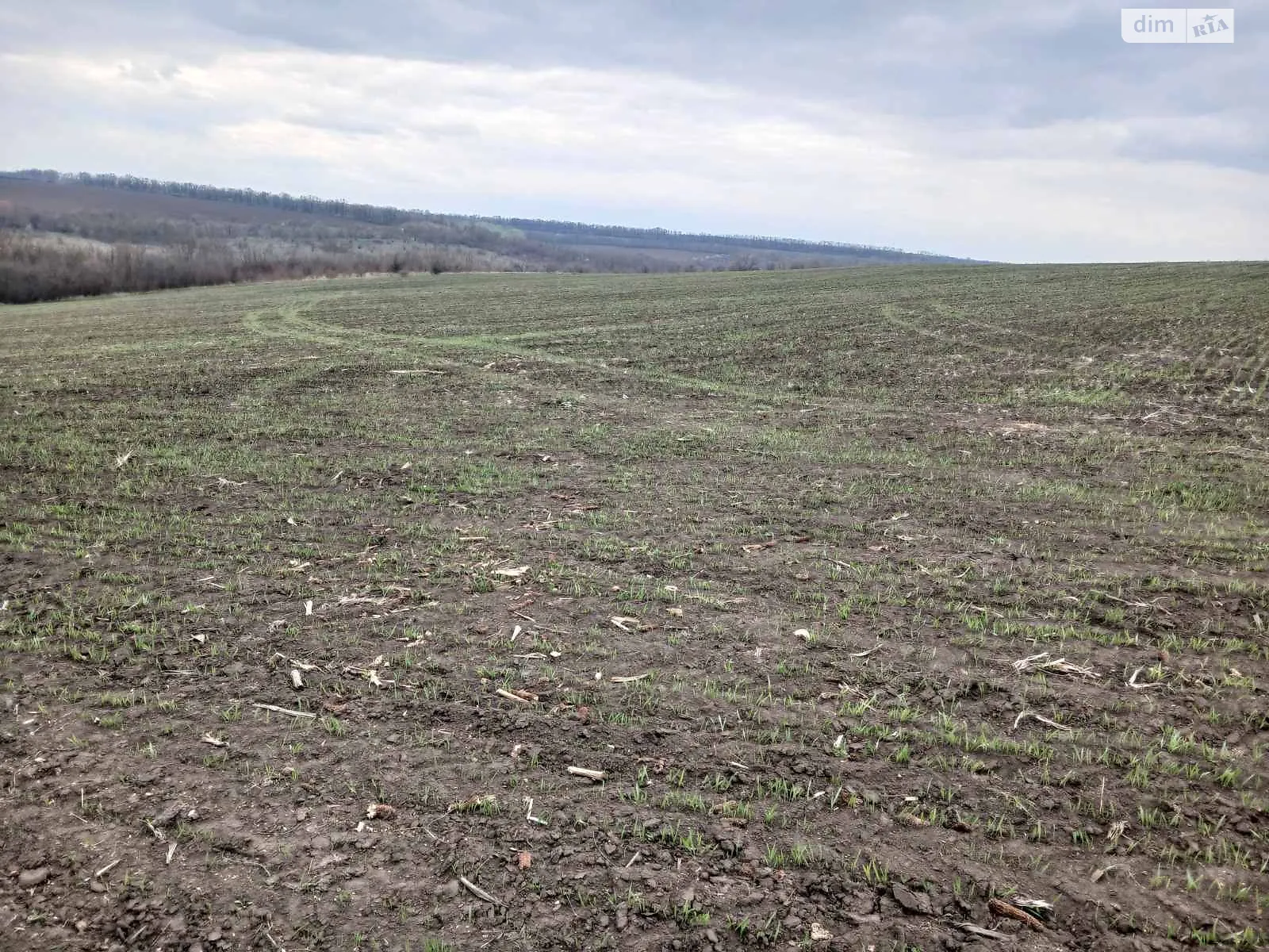 Качківка, цена: 81875 грн - фото 1