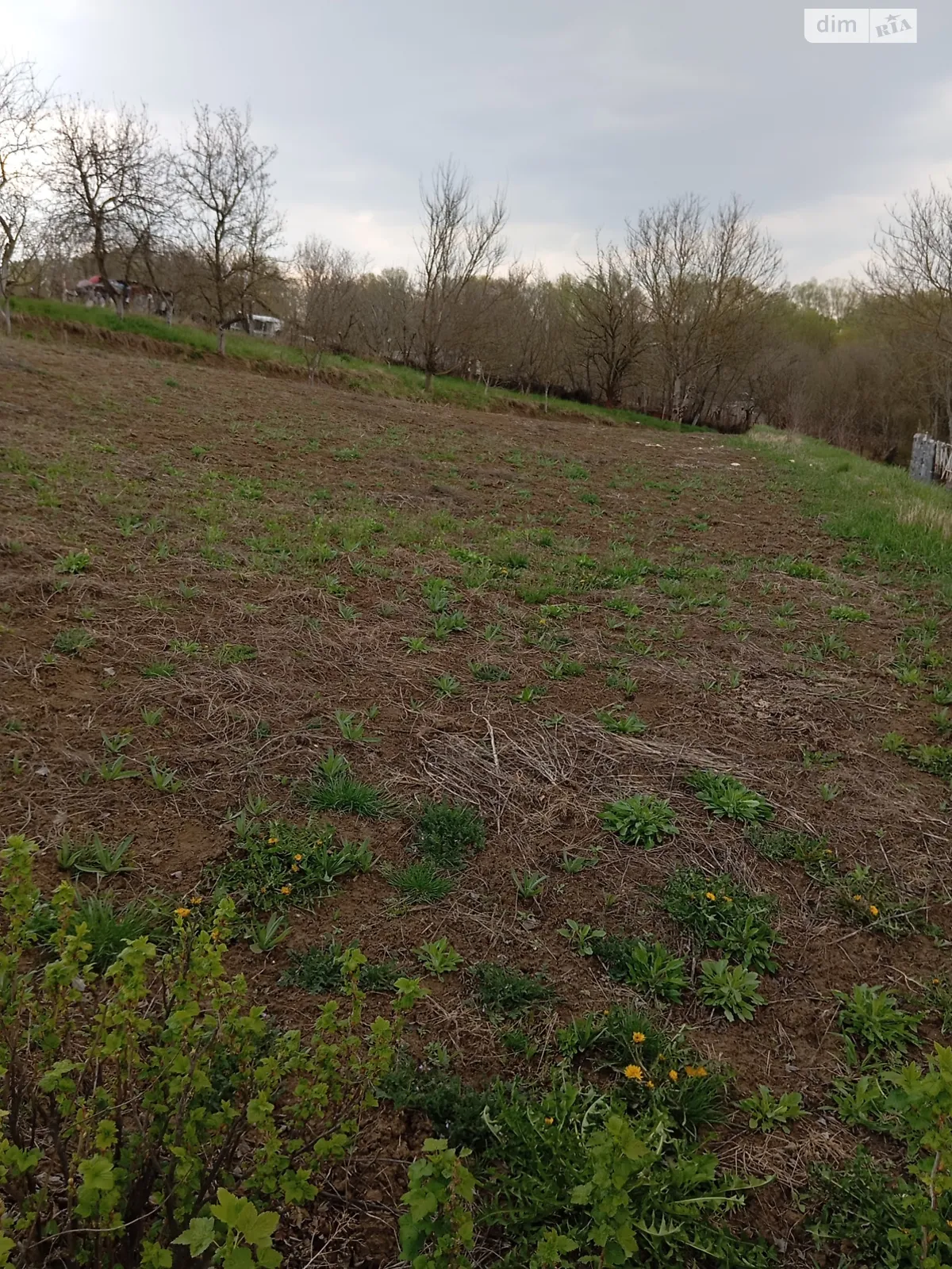 Продається земельна ділянка 12 соток у Хмельницькій області, цена: 12000 $ - фото 1