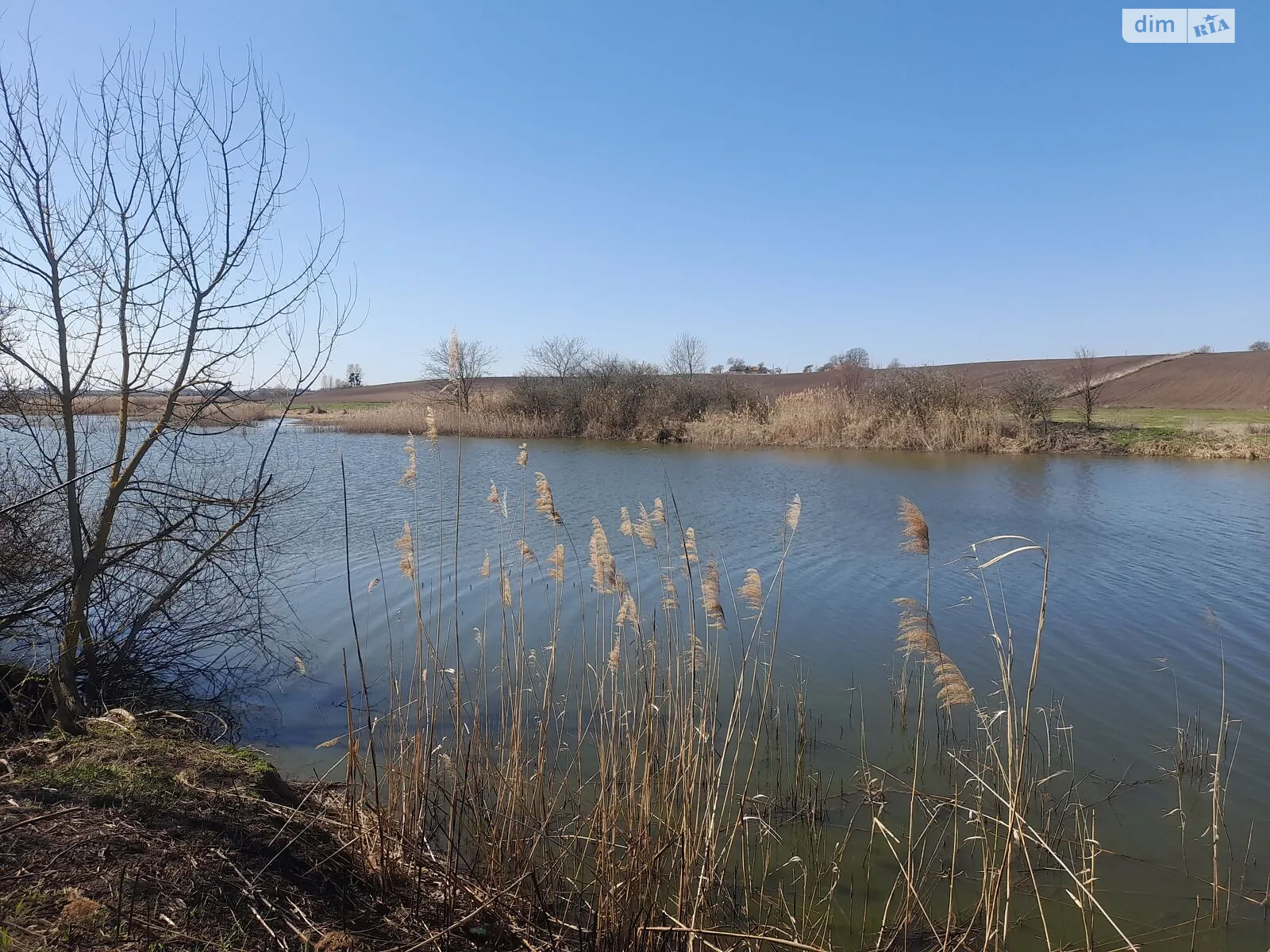 Рогізне, цена: 27477 грн - фото 1