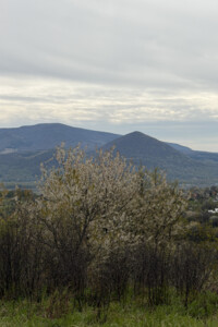 Куплю дом без посредников