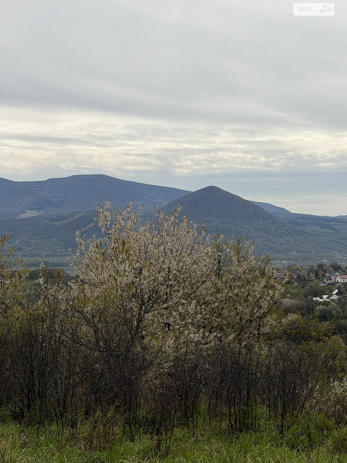 вулиця Садова Руня, цена: 38000 $ - фото 1