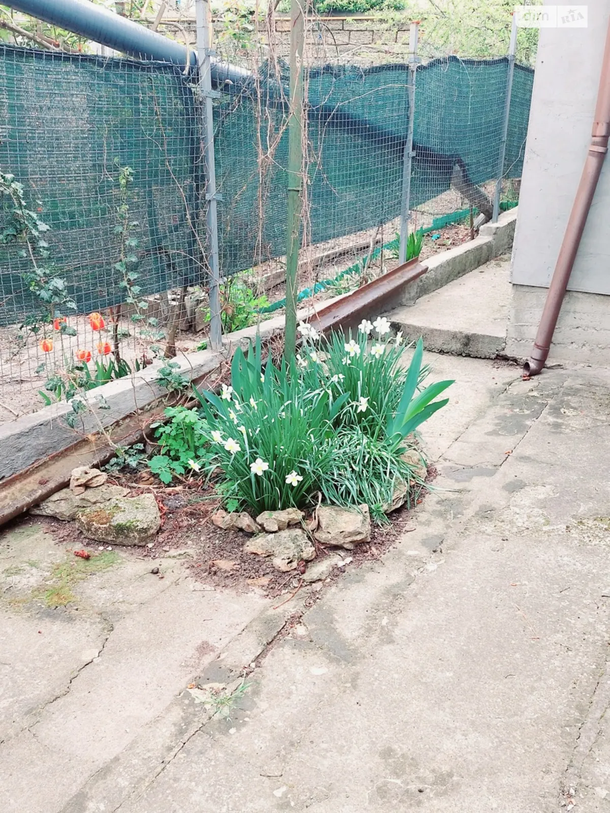 ул. Рыбачья Большой Фонтан Одесса, цена: 6000 грн - фото 1