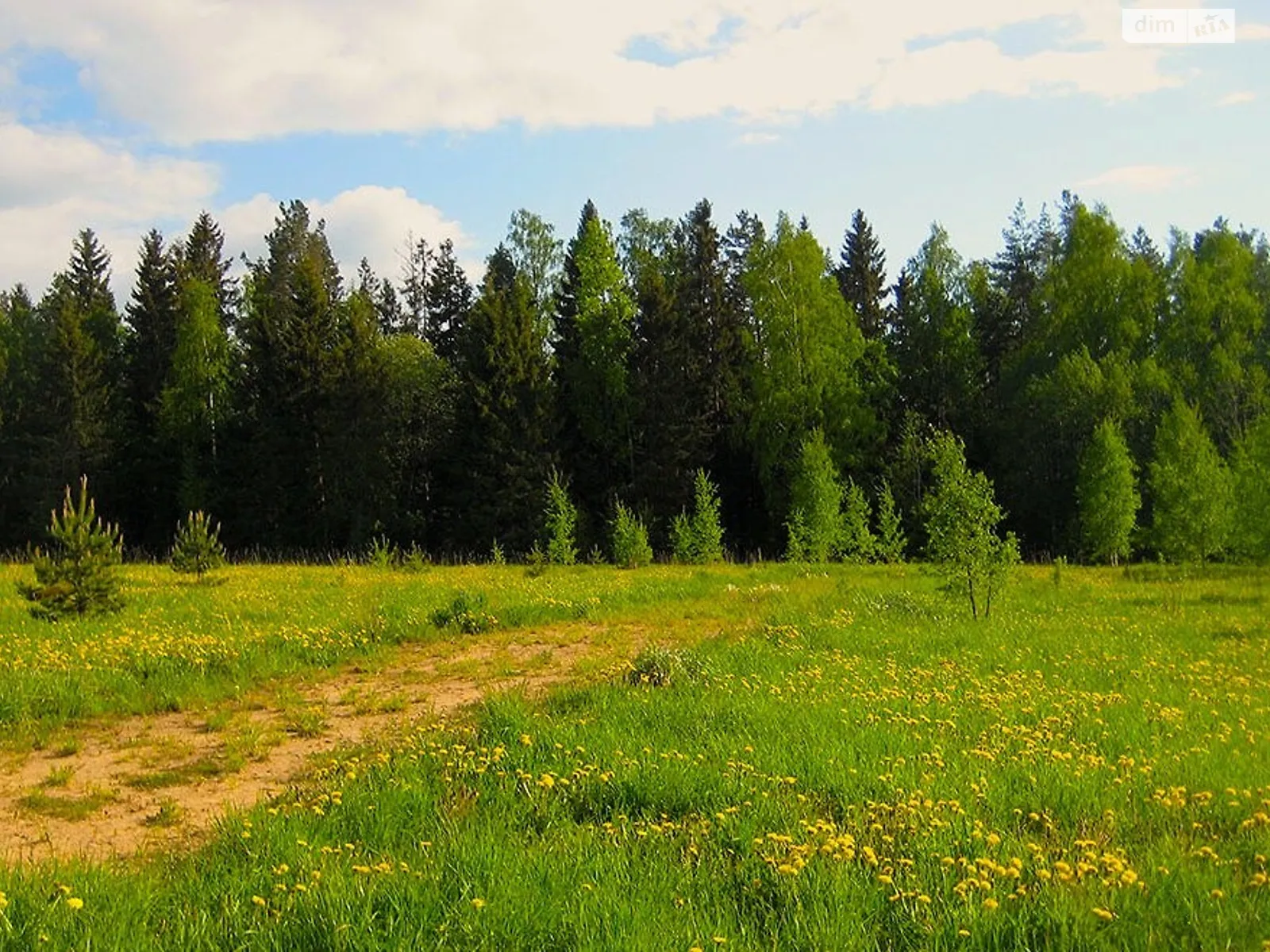 Продається земельна ділянка 11.49 соток у Житомирській області, цена: 9000 $ - фото 1