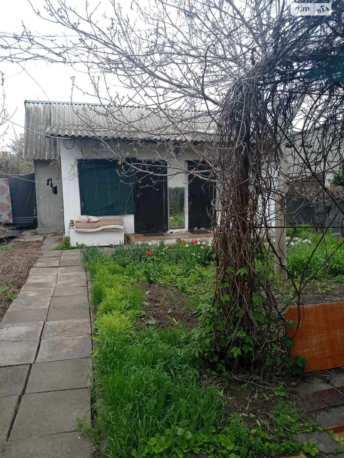 Продается одноэтажный дом 32.1 кв. м с верандой, цена: 85000 $ - фото 1