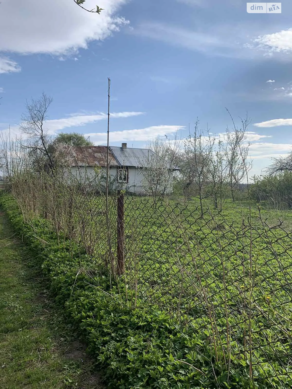 вулиця Івана Франка Репнов, цена: 8500 $ - фото 1