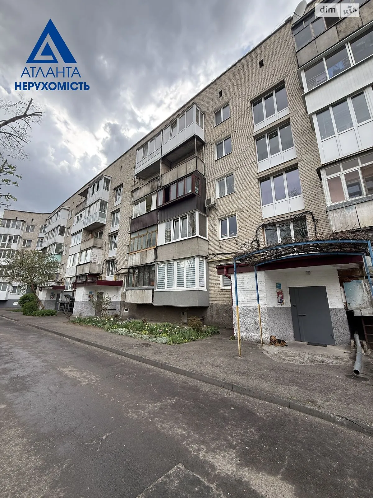3-комнатная квартира 63.3 кв. м в Луцке, просп. Молодежи - фото 1