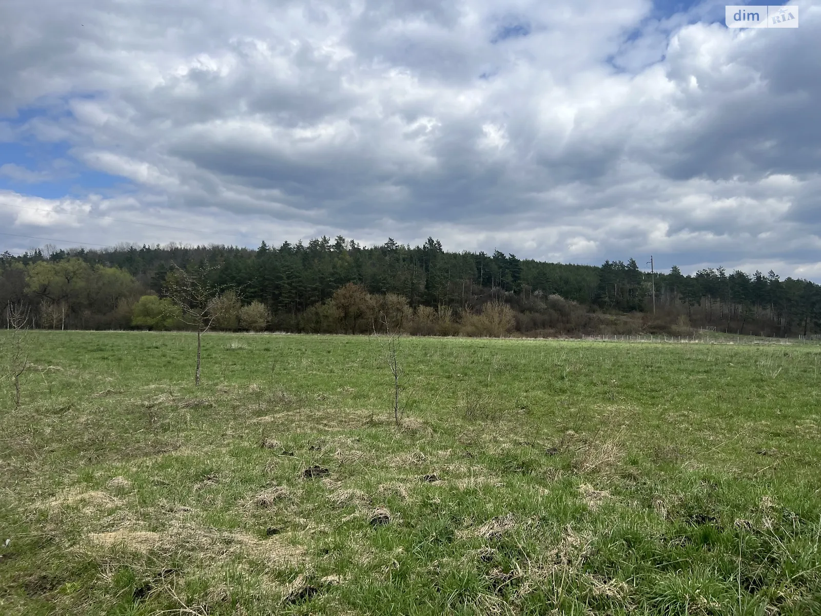 Ивачев Долишний, цена: 150000 $ - фото 1