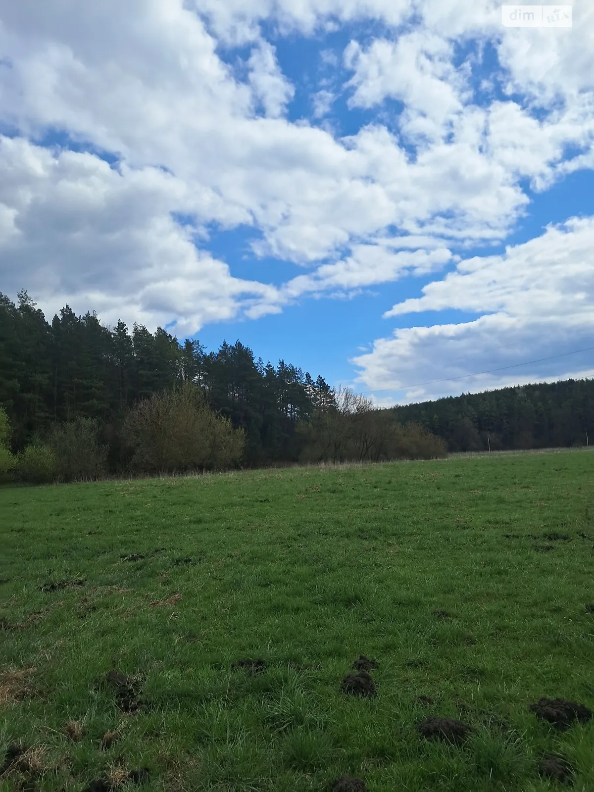 Ивачев Долишний, цена: 150000 $ - фото 1