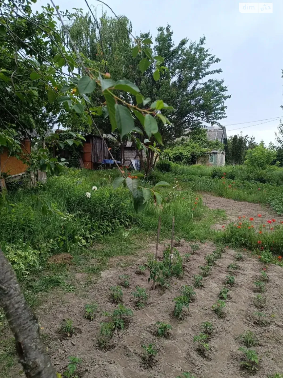 Продается земельный участок 4.16 соток в Черниговской области, цена: 4500 $ - фото 1