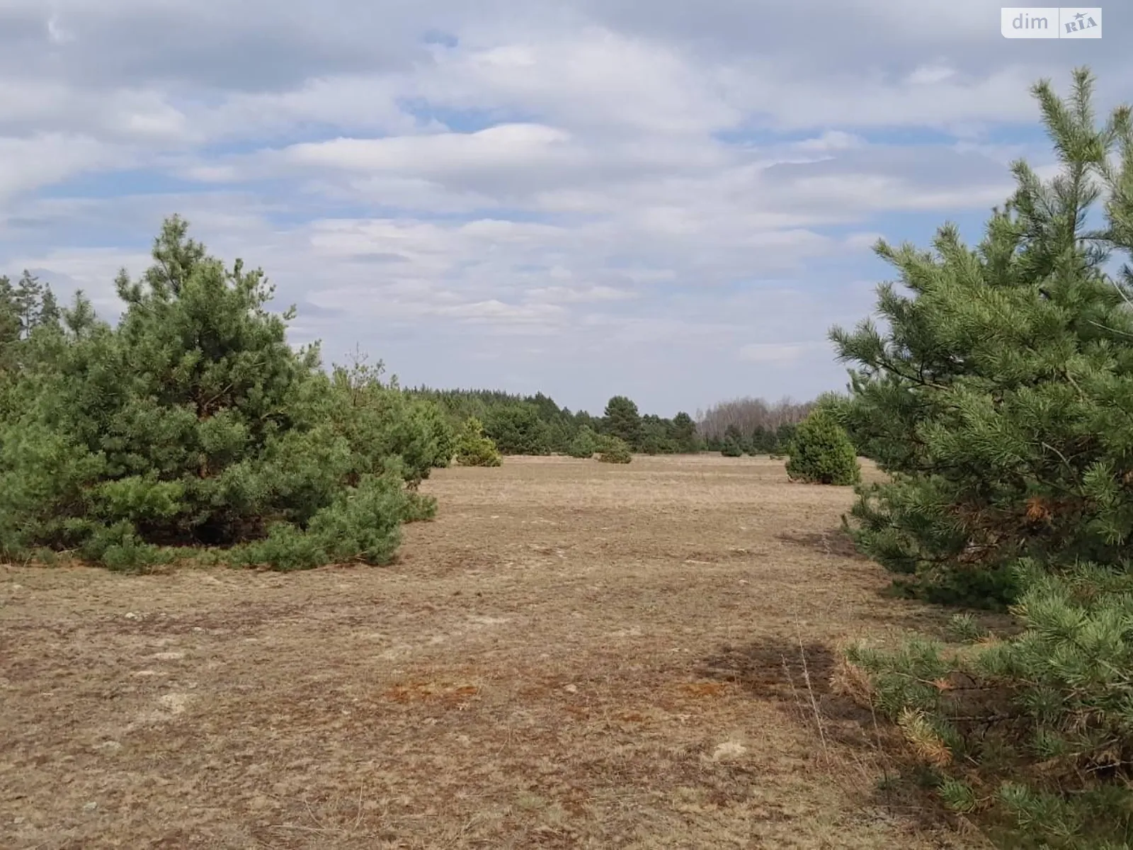 Раковичі, цена: 742 грн - фото 1