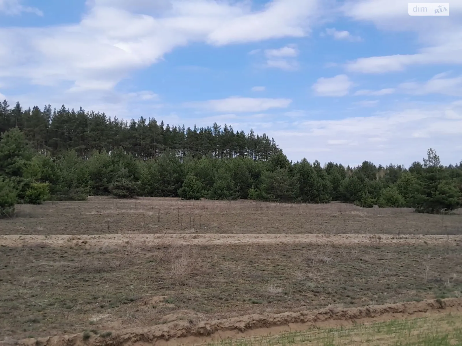 Раковичі, цена: 1319 грн - фото 1