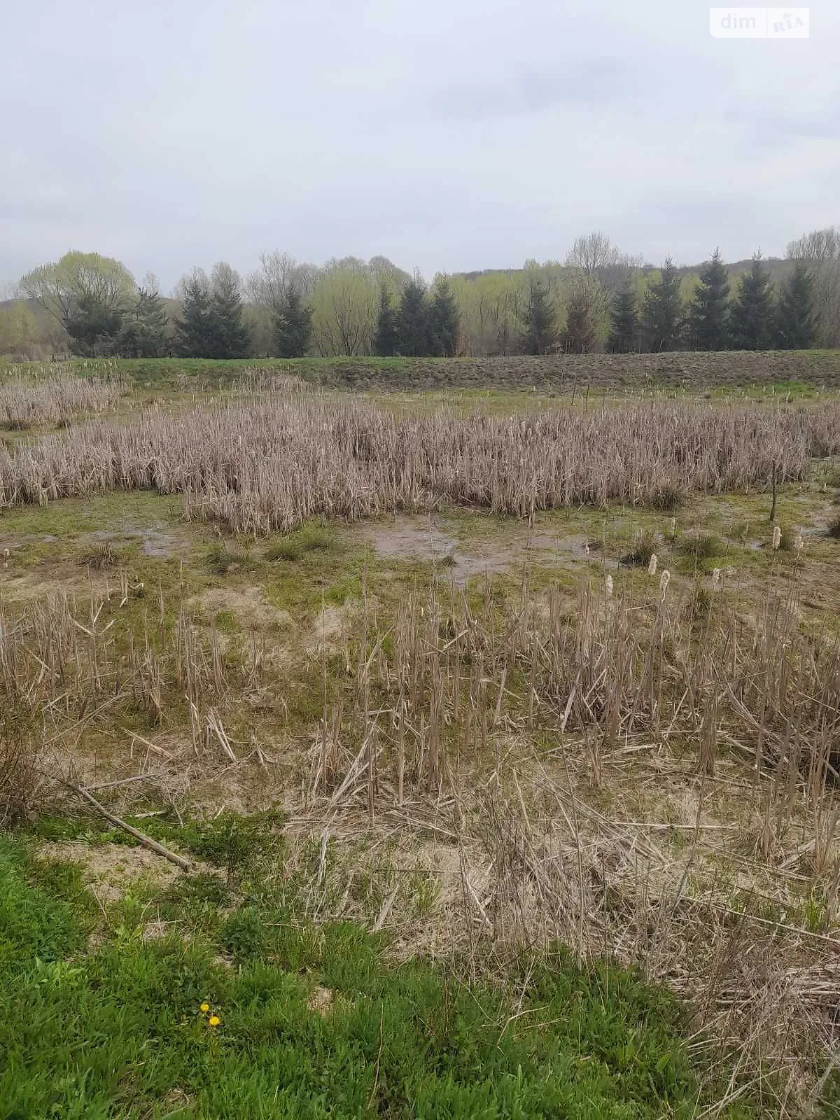 Зарічне (Стрий), цена: 23708 грн - фото 1