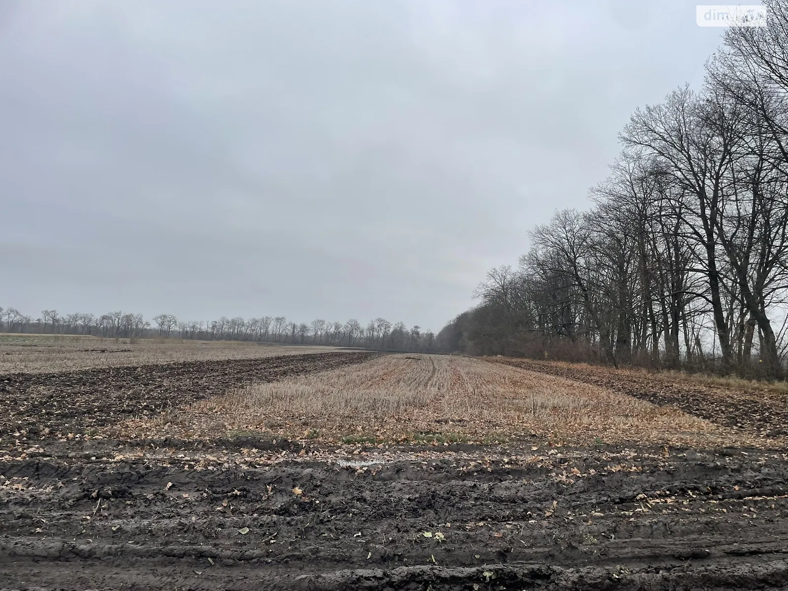 Продается земельный участок 83.18 соток в Винницкой области, цена: 38000 $ - фото 1