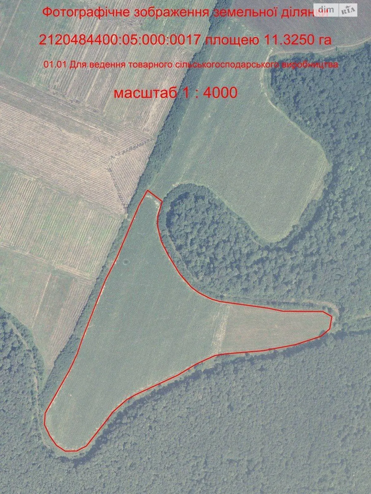 Бене, цена: 58831 грн - фото 1