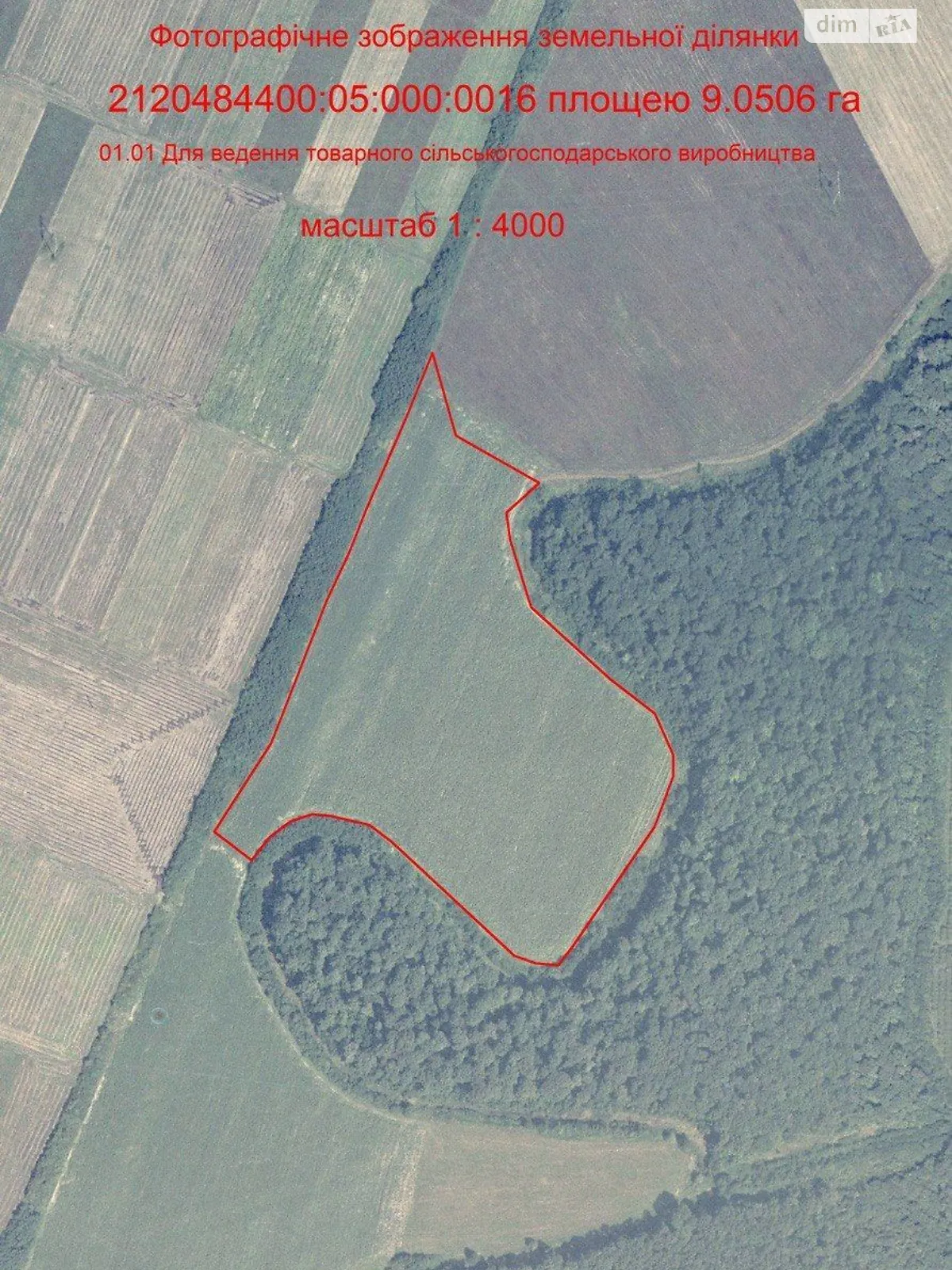 Бене, цена: 42843 грн - фото 1