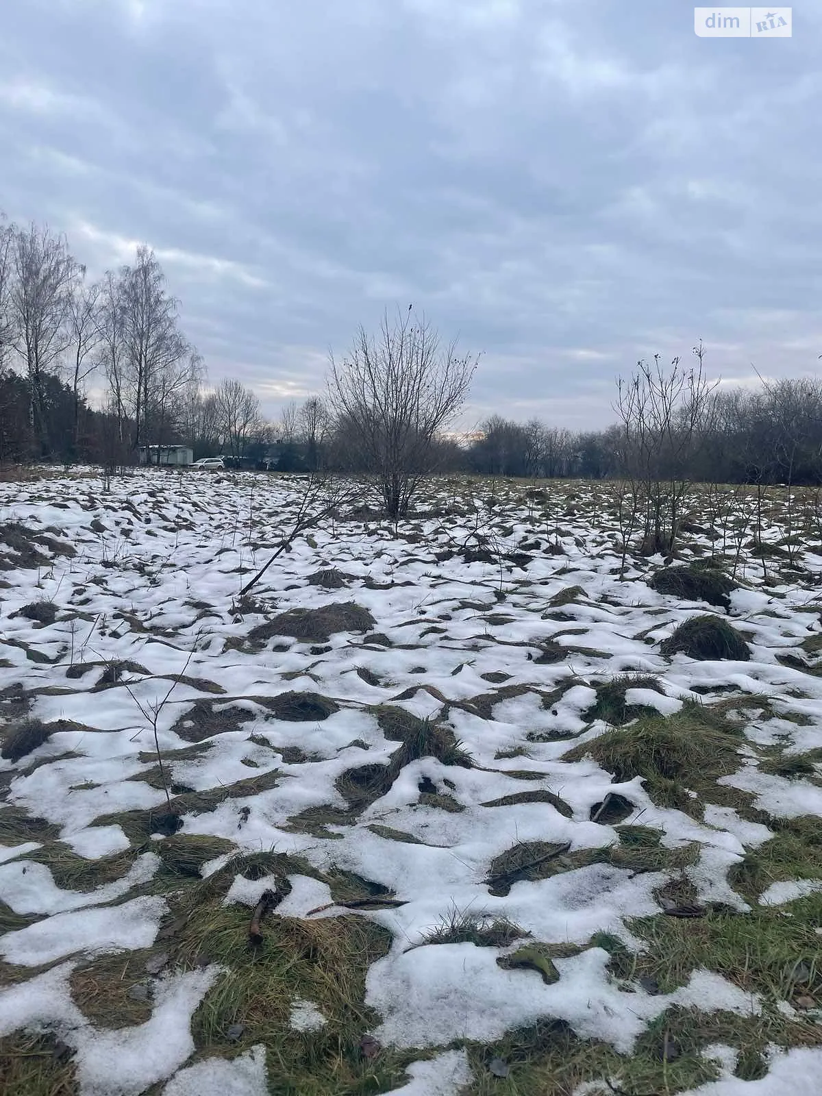 Шайноги, цена: 366 грн - фото 1