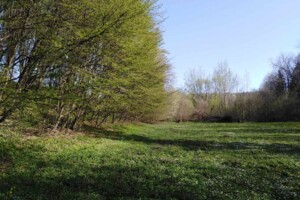 Продаж землі сільськогосподарського призначення, Хмельницька, Пашківці (Хмельницький)