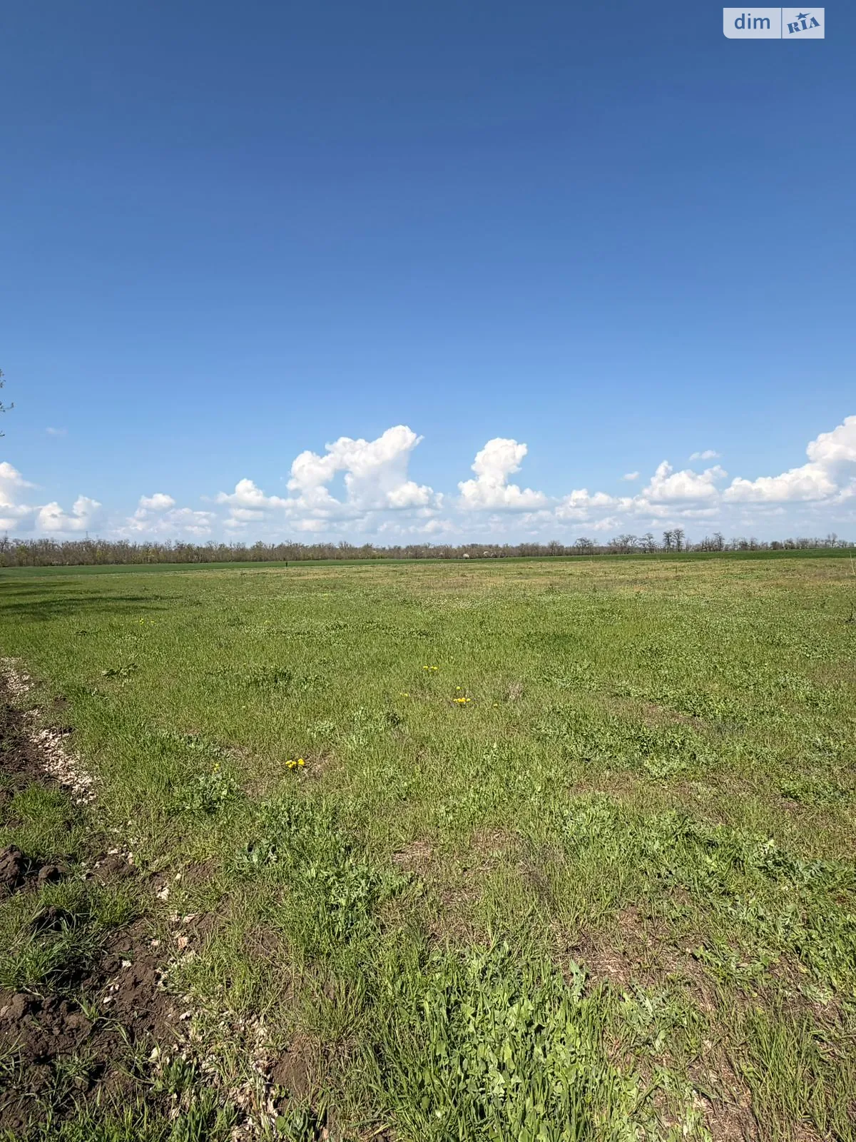 Продается земельный участок 2.29 соток в Одесской области, цена: 690000 $ - фото 1