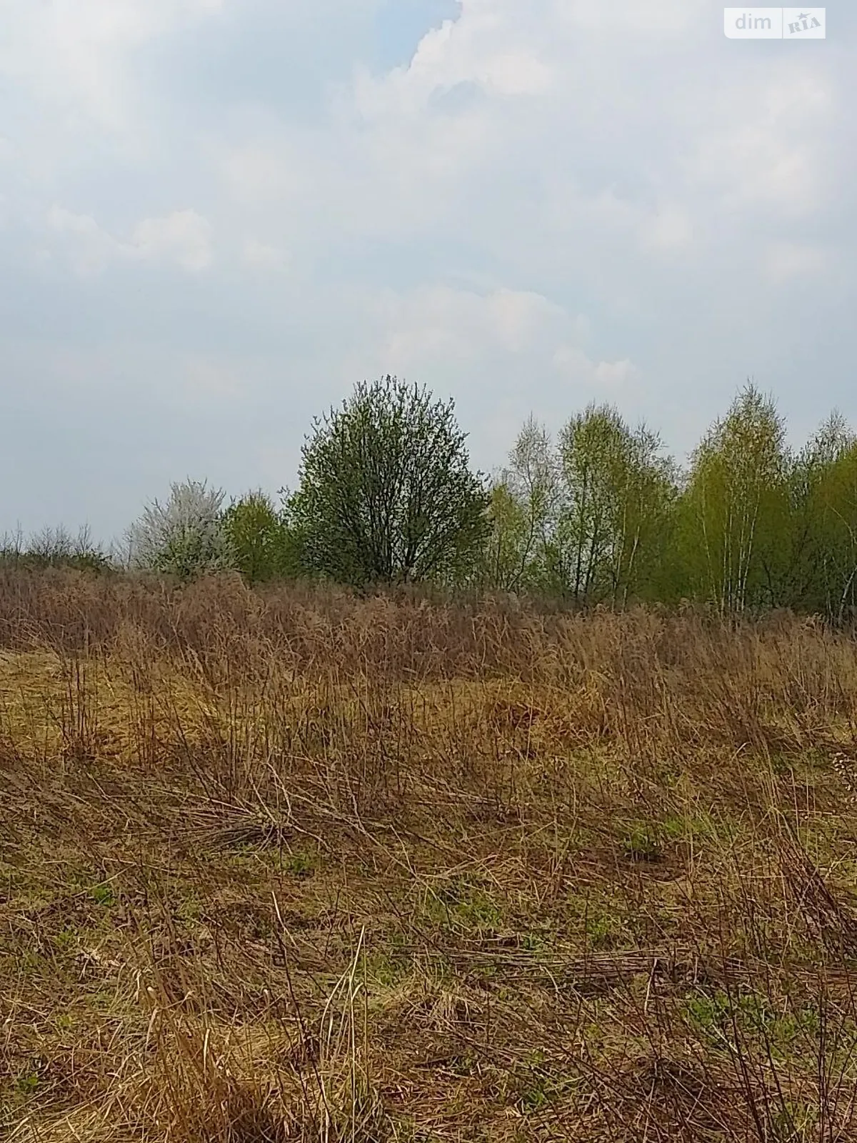 Продается земельный участок 12 соток в Ивано-Франковской области, цена: 12000 $ - фото 1