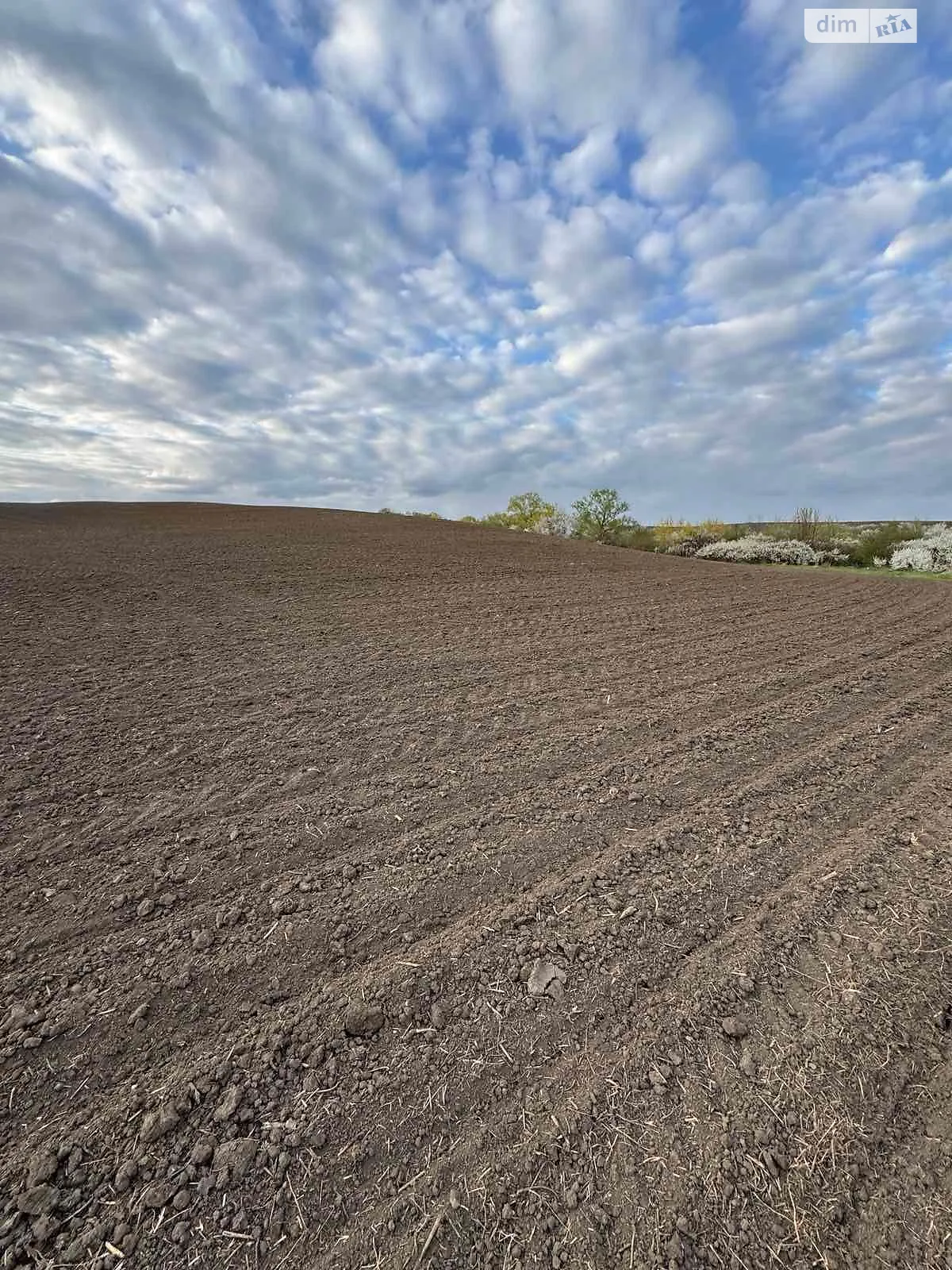 Данківці, цена: 38520 грн - фото 1