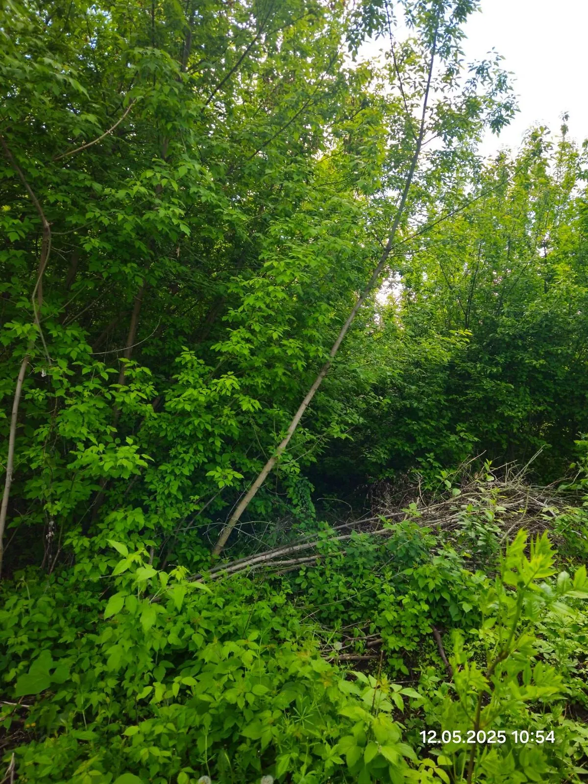 Печанівка, цена: 2424 грн - фото 1