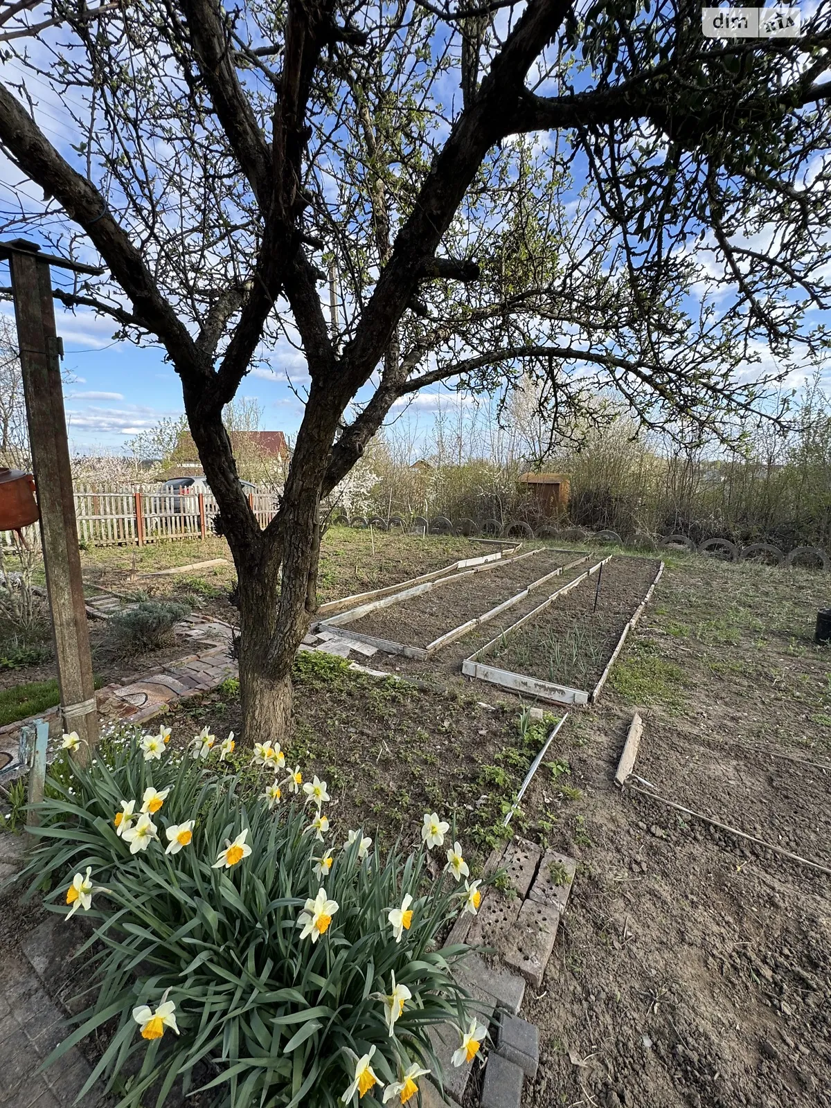 Продается земельный участок 8 соток в Хмельницкой области, цена: 11000 $ - фото 1