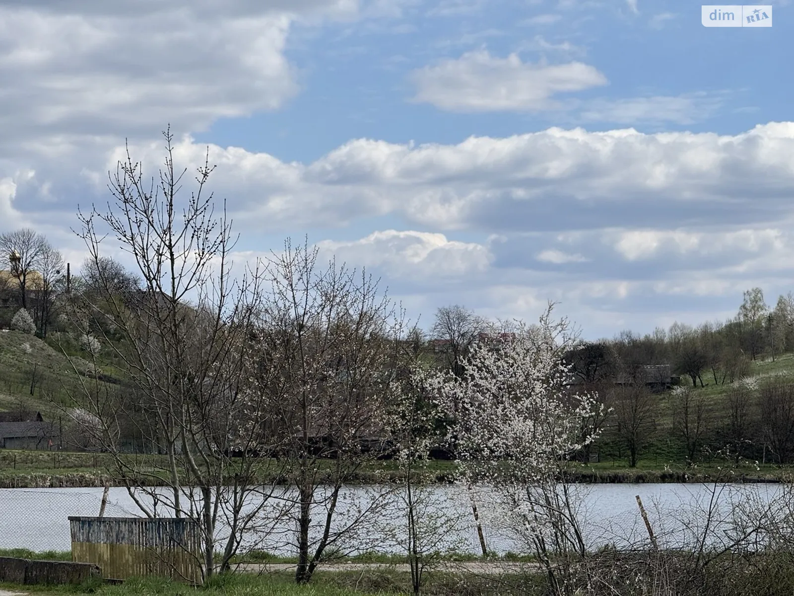 Свержик Свирж, цена: 15000 $ - фото 1