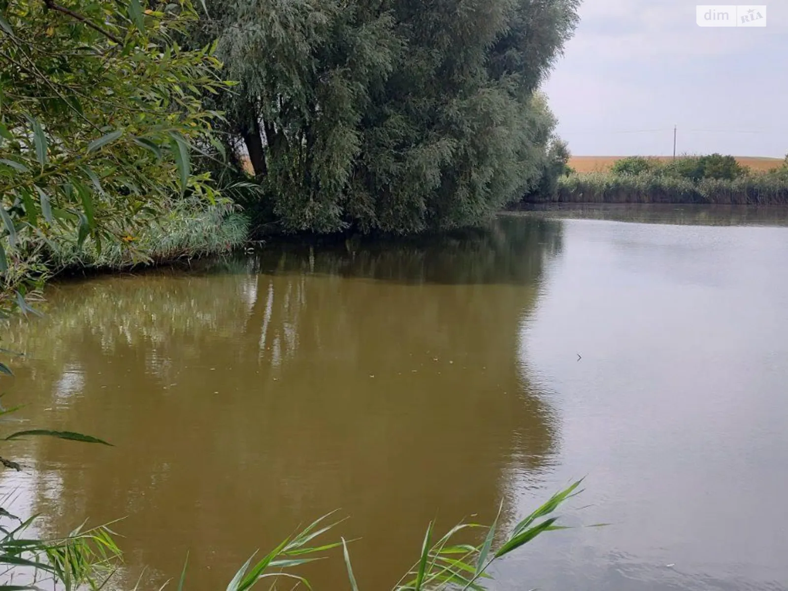 Купіль, цена: 5504 грн - фото 1