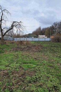 Куплю дом Черниговской области