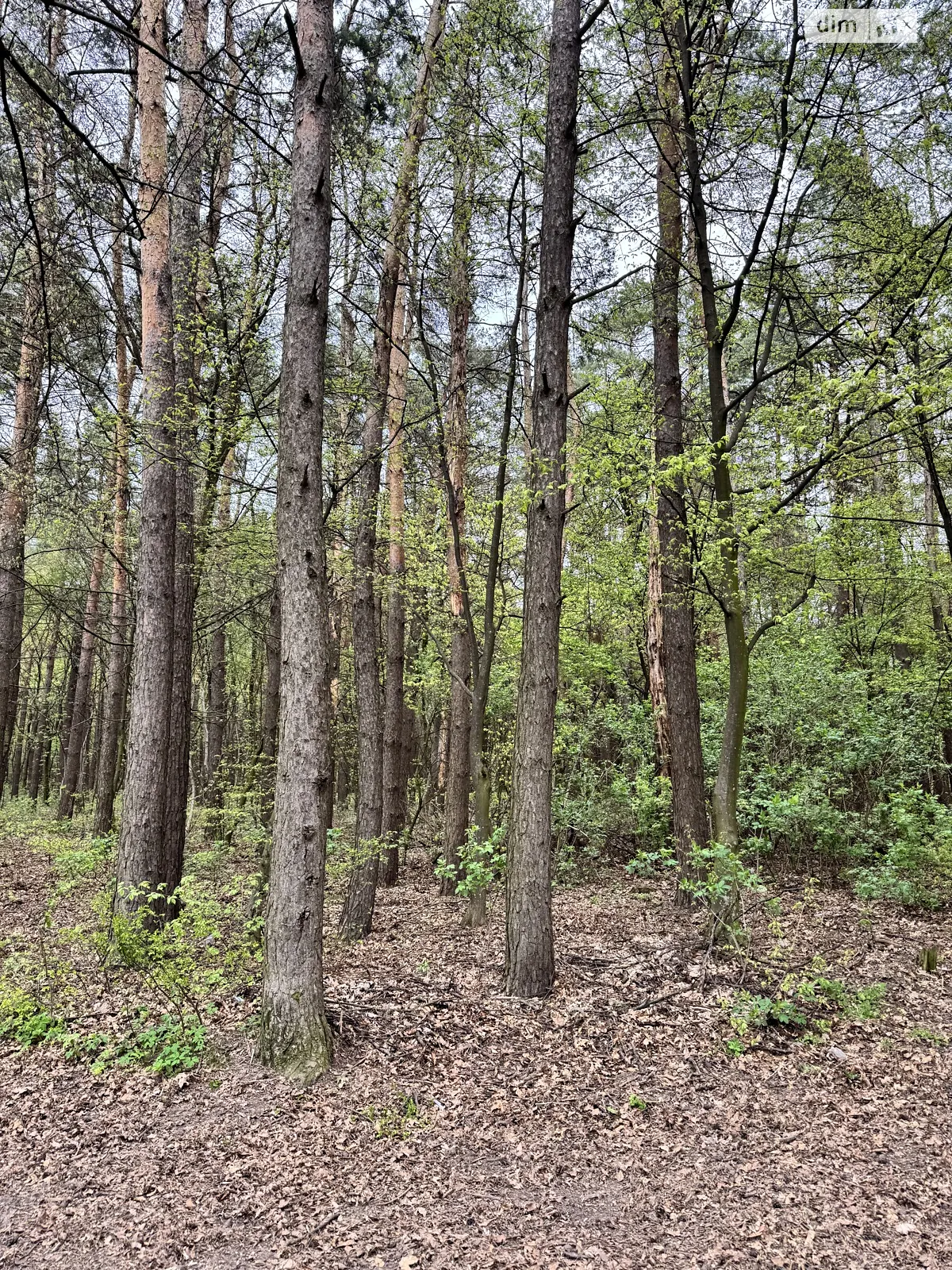 Продается земельный участок 21.88 соток в Хмельницкой области, цена: 21900 $ - фото 1