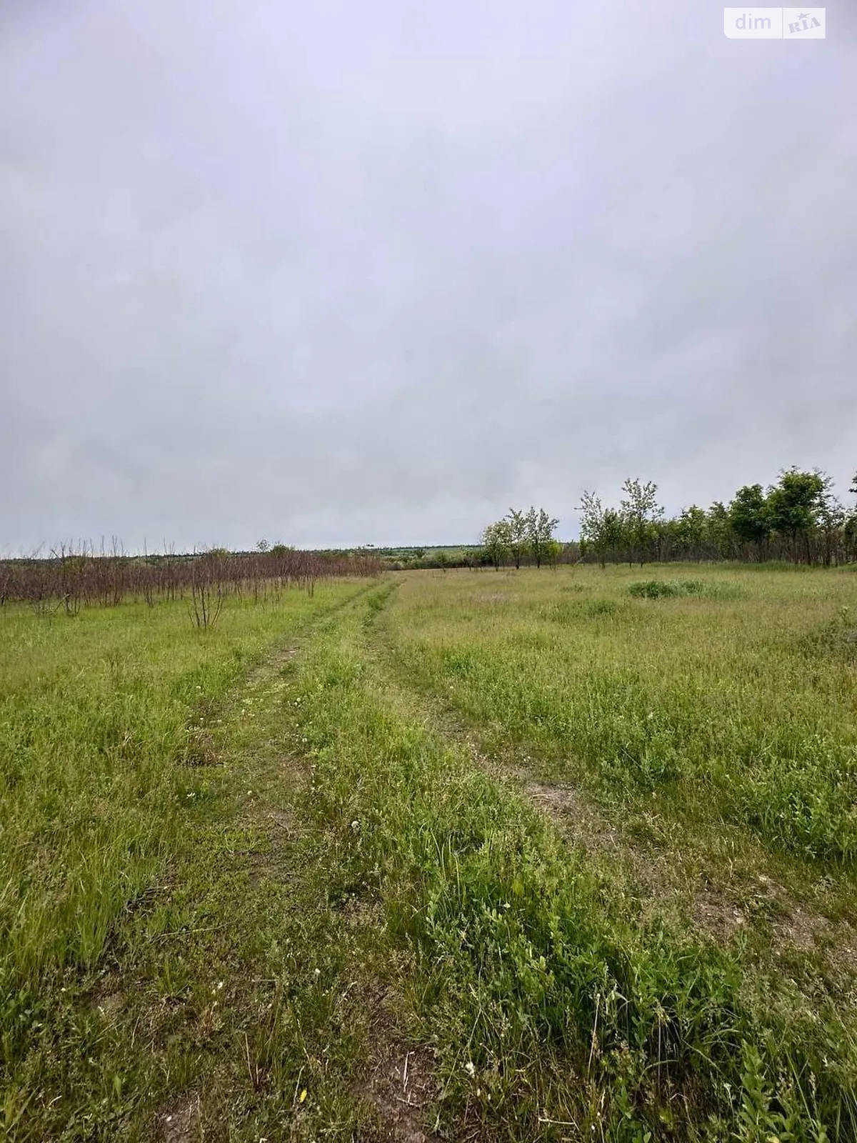 Продается земельный участок 10 соток в Днепропетровской области, цена: 6000 $ - фото 1