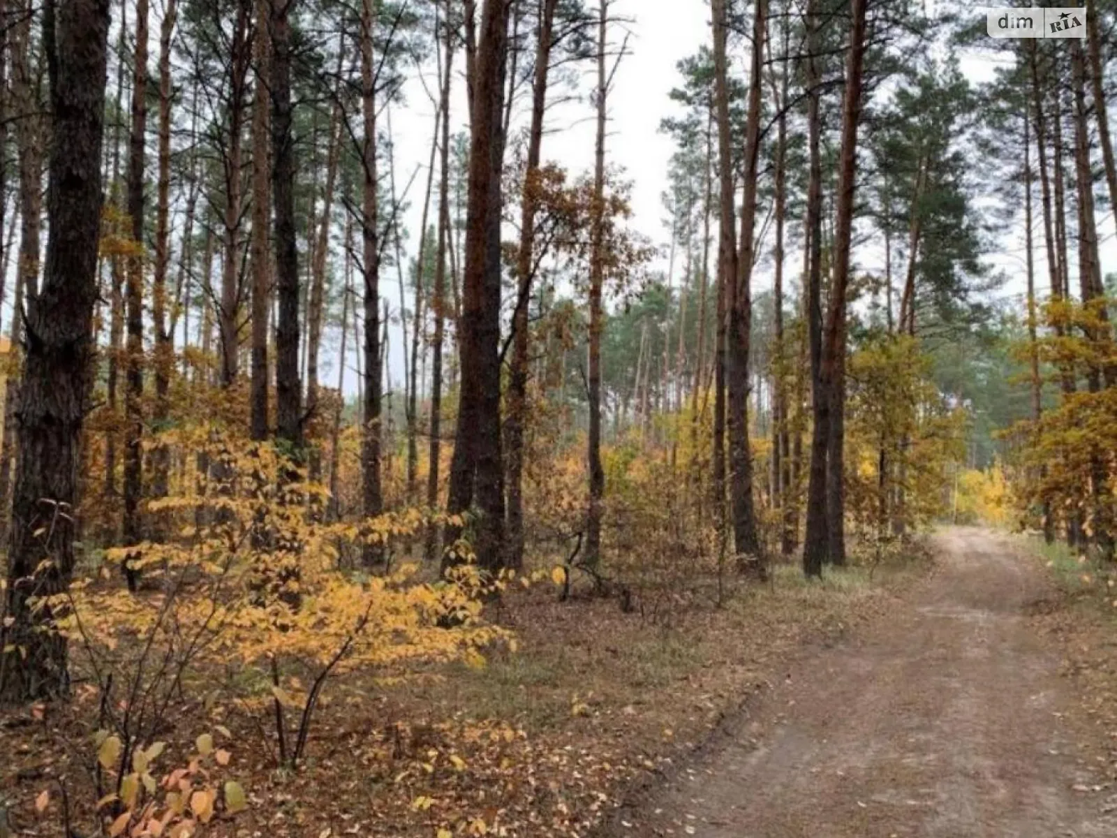 Козин (Обухов), цена: 500000 $ - фото 1