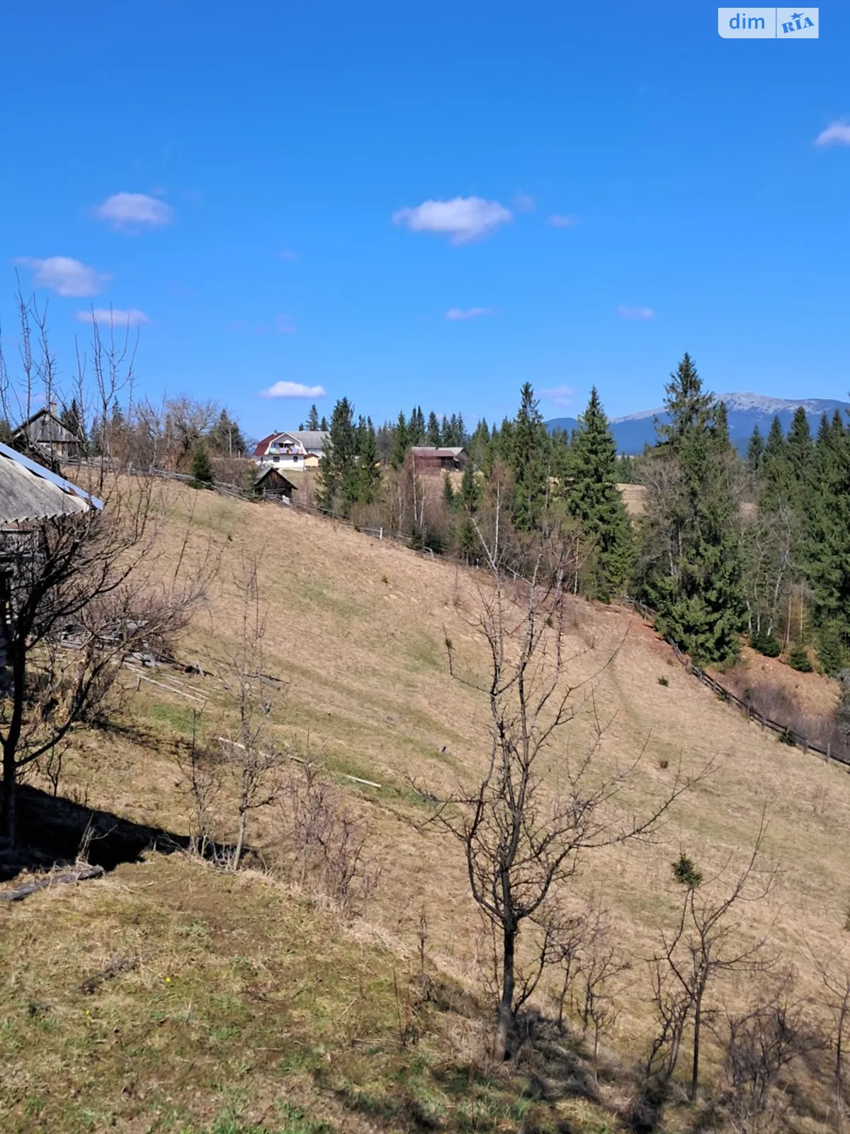 Продається земельна ділянка 50 соток у Івано-Франківській області, цена: 50000 $ - фото 1
