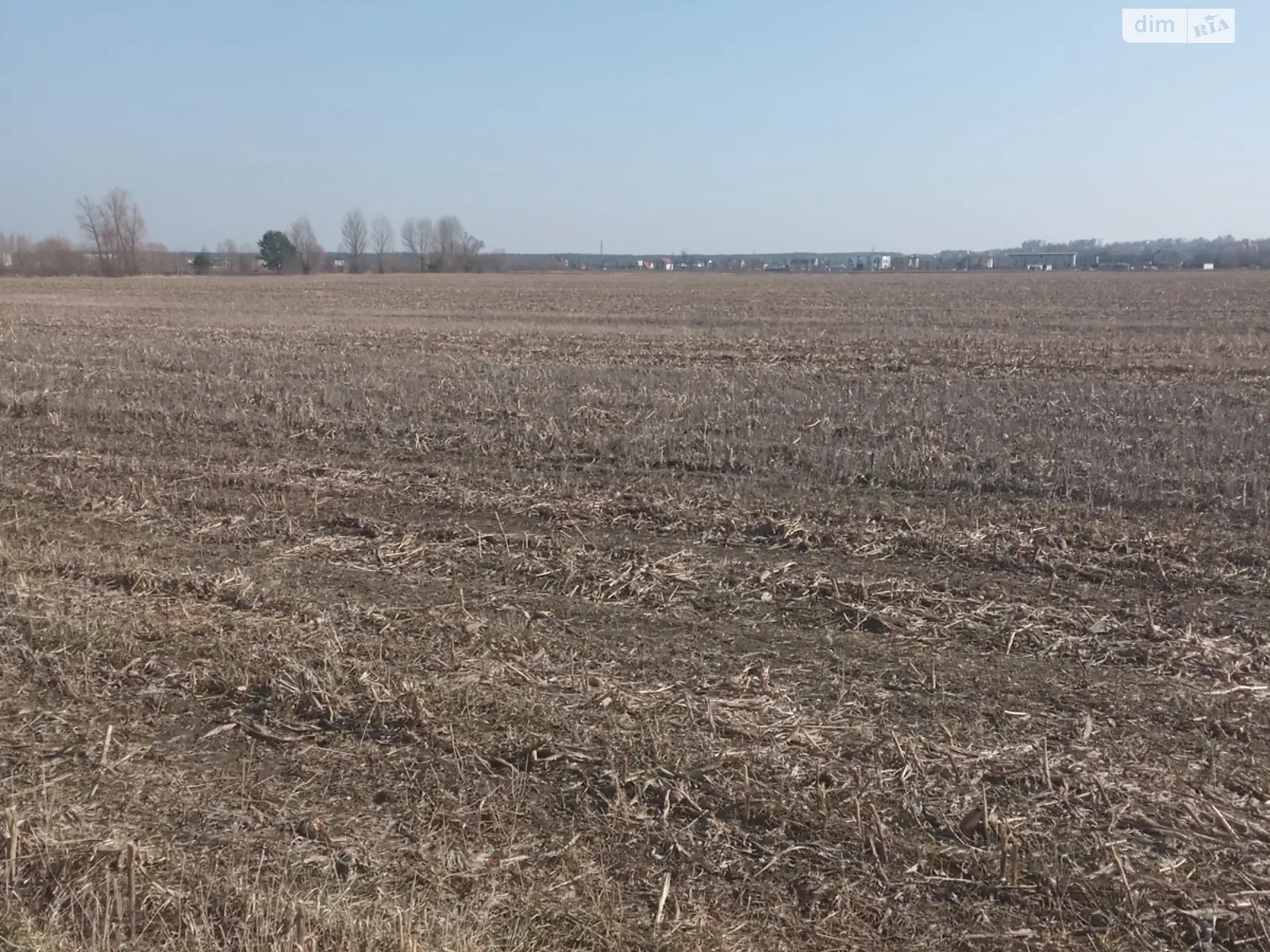 Лука (Тараща), цена: 89830 $ - фото 1