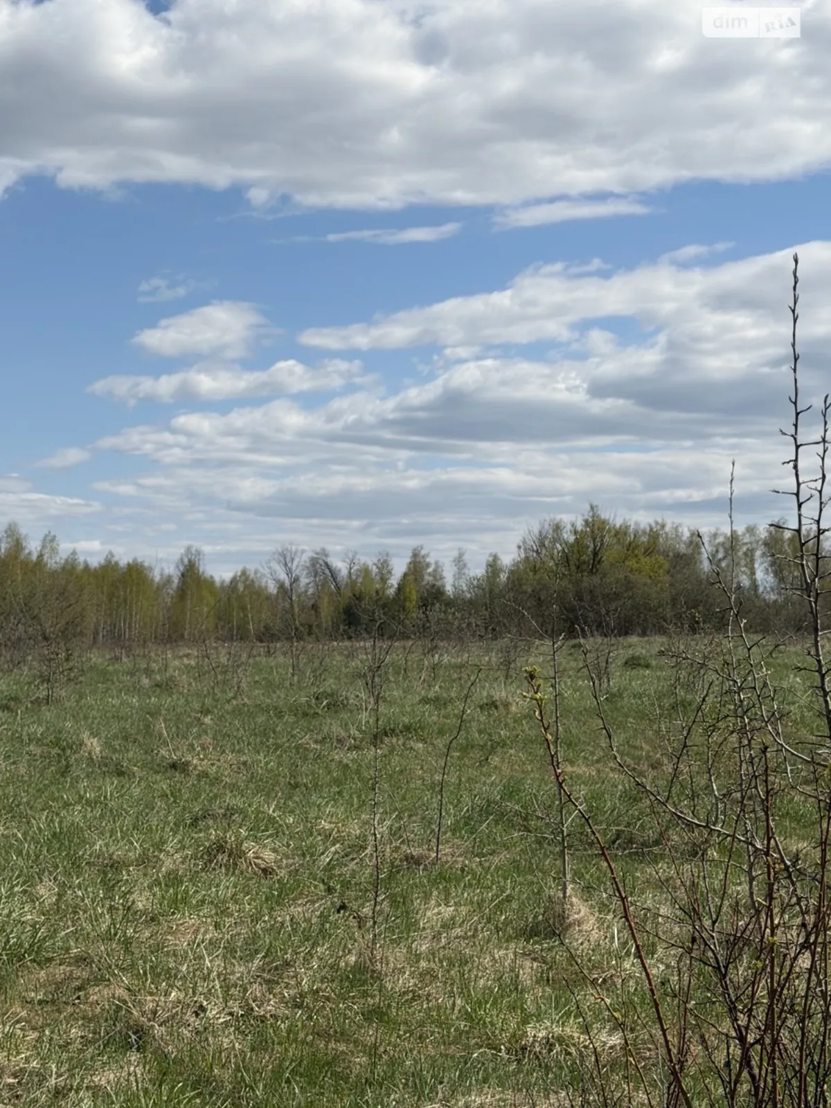 Продається земельна ділянка 2.96 соток у Житомирській області, цена: 118400 $ - фото 1